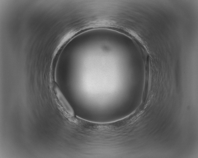 X0000052551469200507081556