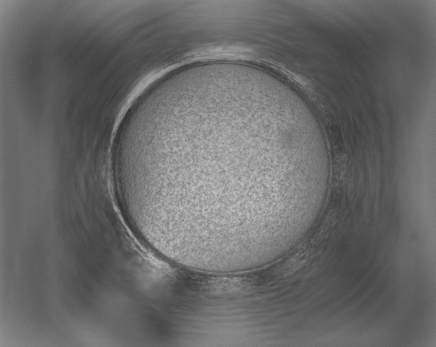 X0000052551470200507081556