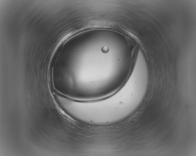 X0000052551471200507081556