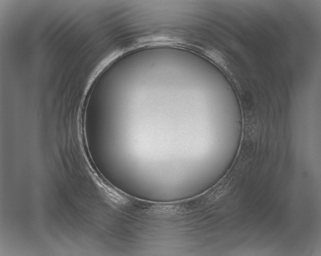 X0000052551474200507081556