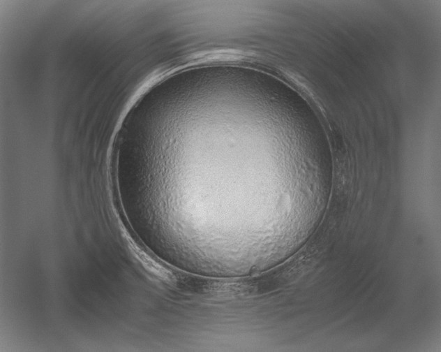 X0000052551475200507081556