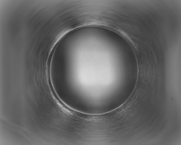 X0000052551476200507081556