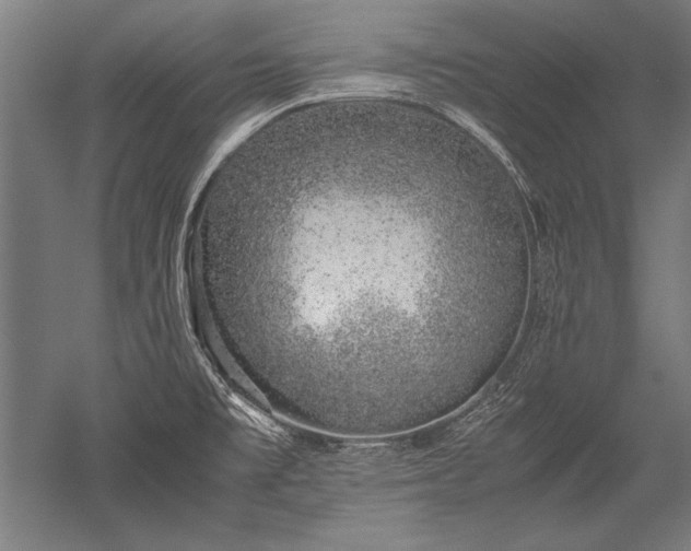 X0000052551477200507081556