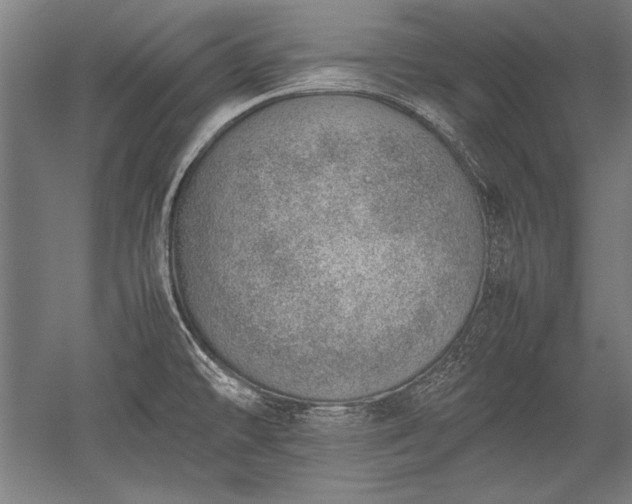 X0000052551478200507081556