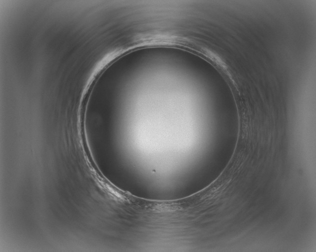 X0000052551480200507081556