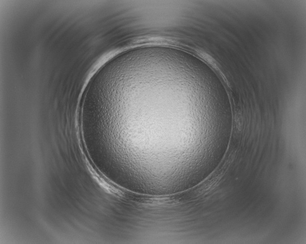 X0000052551482200507081556