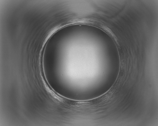 X0000052551483200507081556