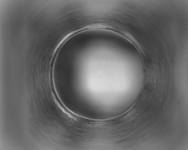 X0000052551484200507081556