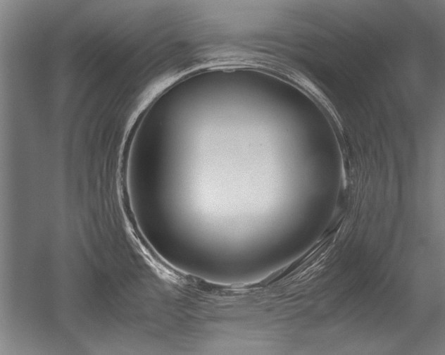 X0000052551485200507081556