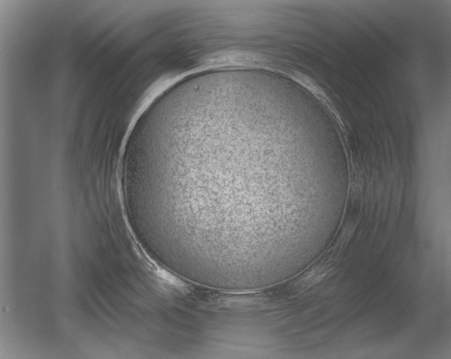 X0000052551486200507081556