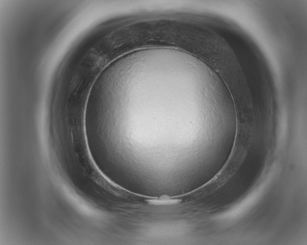 X0000052551487200507081556