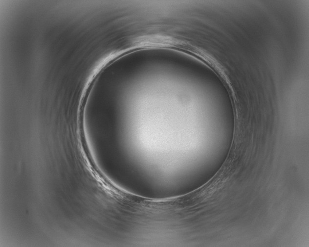 X0000052551488200507081556