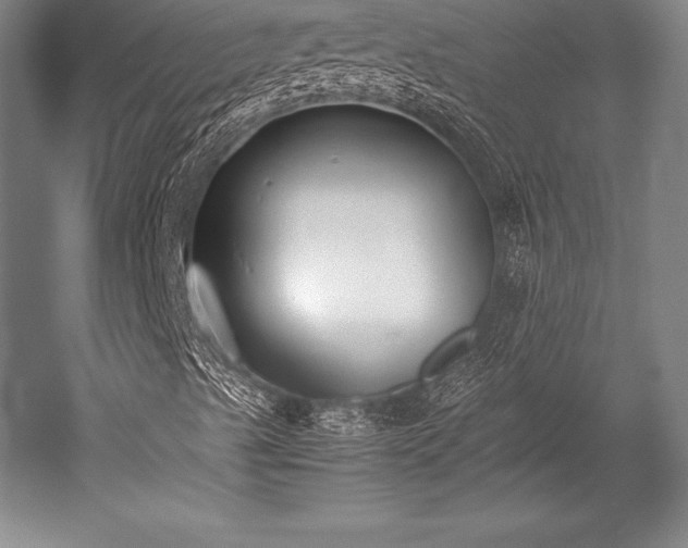 X0000052551489200507081555