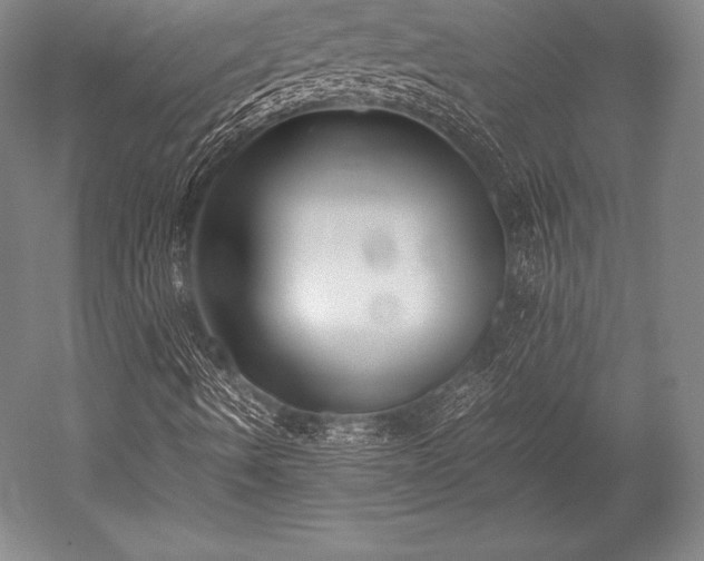 X0000052551490200507081555