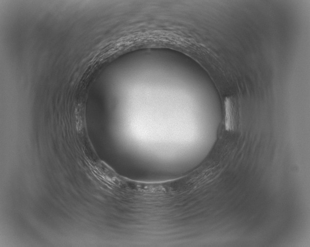 X0000052551491200507081555