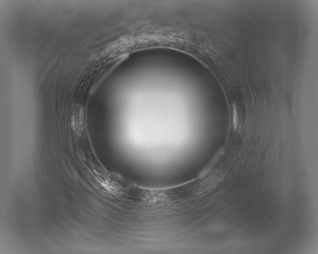 X0000052551492200507081555