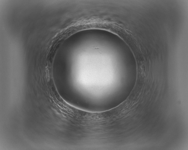 X0000052551493200507081555