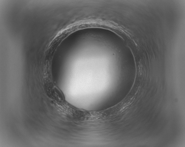 X0000052551494200507081555