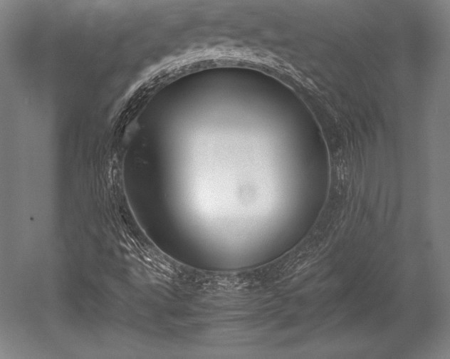 X0000052551495200507081555