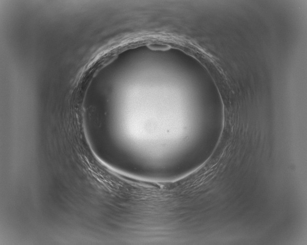 X0000052551496200507081555