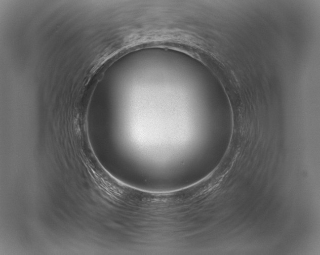 X0000052551497200507081555