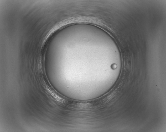 X0000052551498200507081555