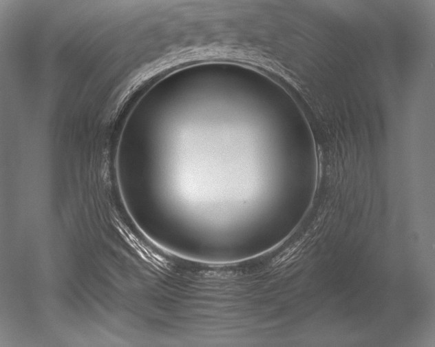 X0000052551499200507081556