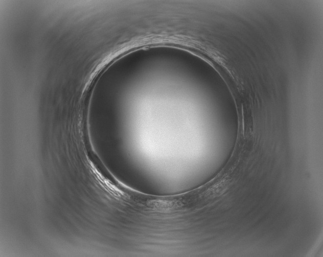 X0000052551500200507081556