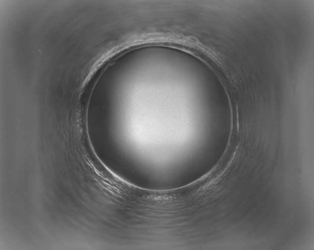 X0000052551501200507081556