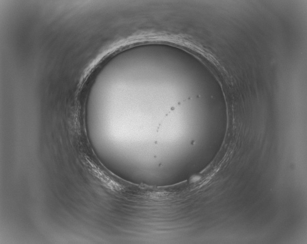 X0000052551502200507081556