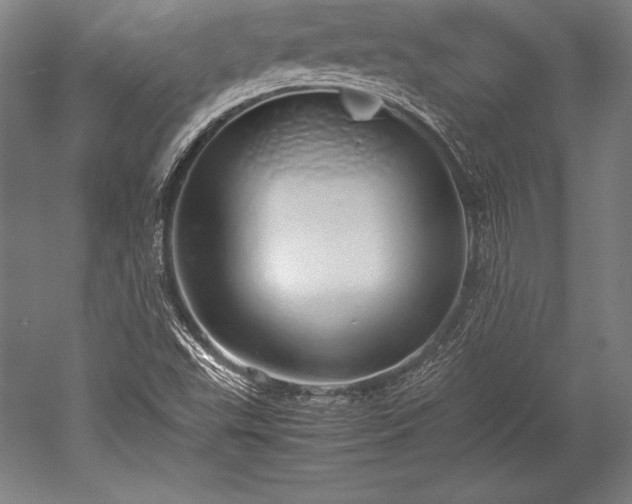 X0000052551503200507081556