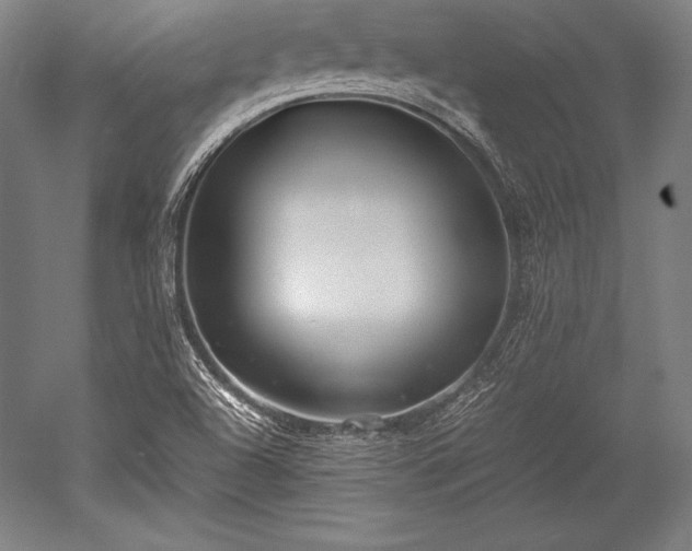 X0000052551504200507081556