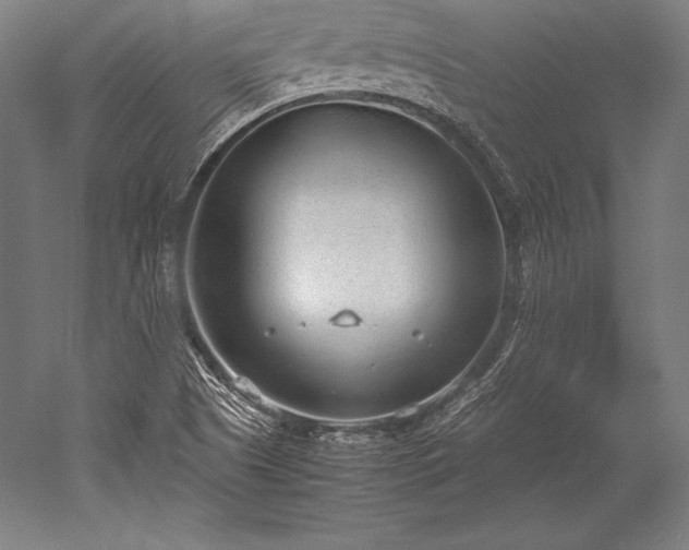 X0000052551505200507081556