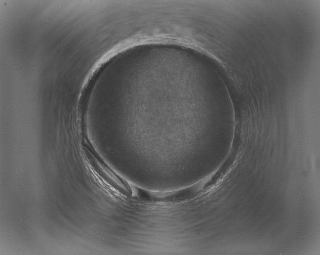 X0000052551506200507081556