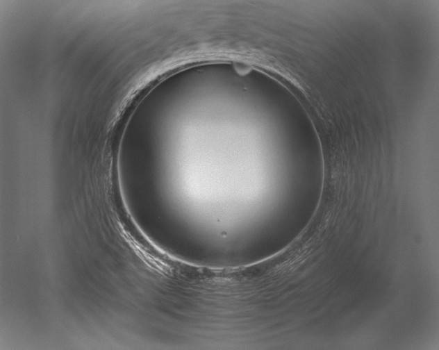 X0000052551507200507081556