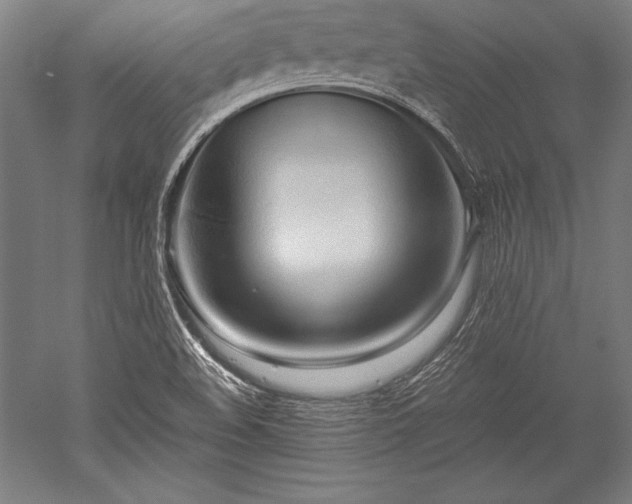 X0000052551508200507081556