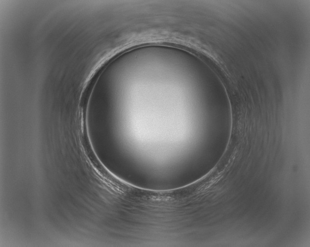 X0000052551509200507081556