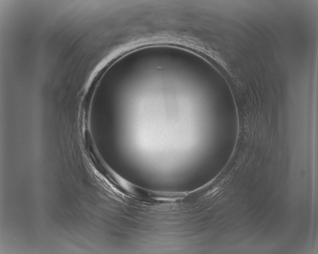 X0000052551510200507081556