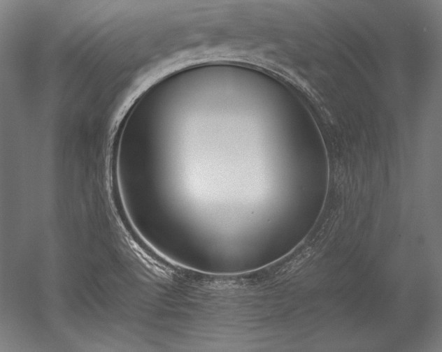 X0000052551512200507081556