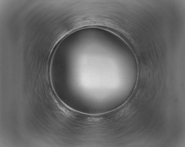 X0000052551513200507081556