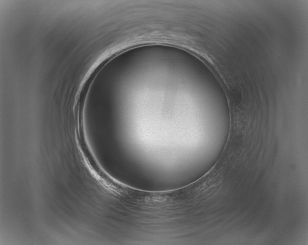 X0000052551515200507081556