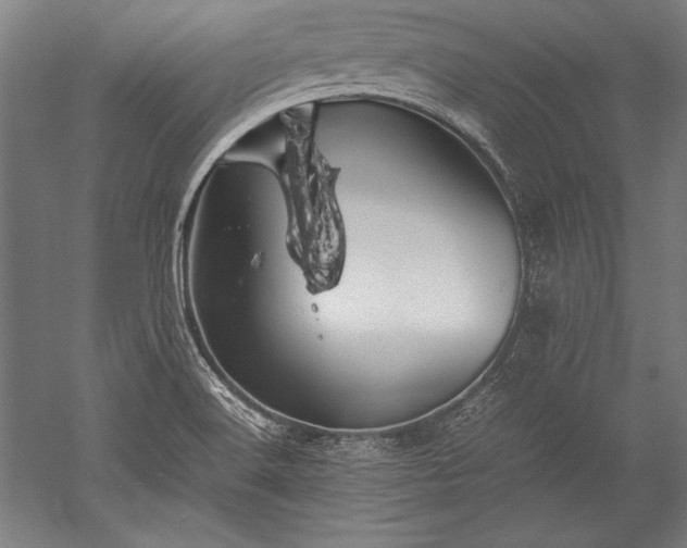 X0000052551516200507081556