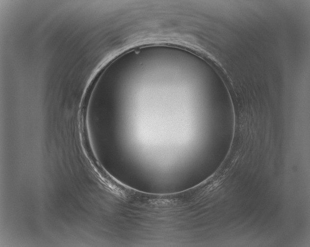 X0000052551517200507081556