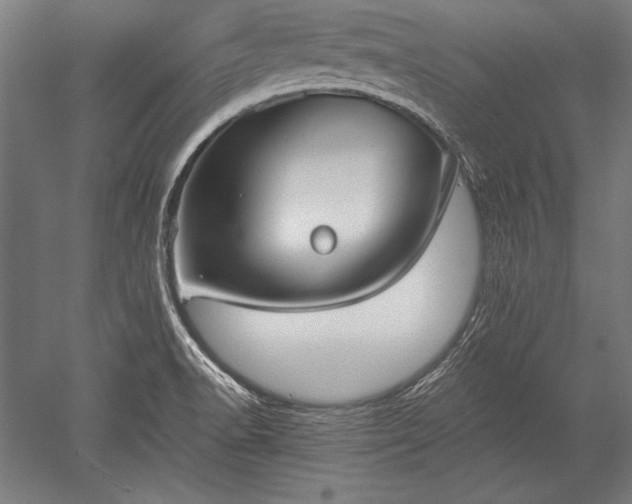 X0000052551518200507081556