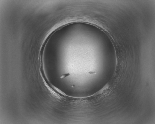 X0000052551519200507081556