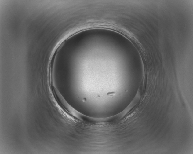 X0000052551520200507081556