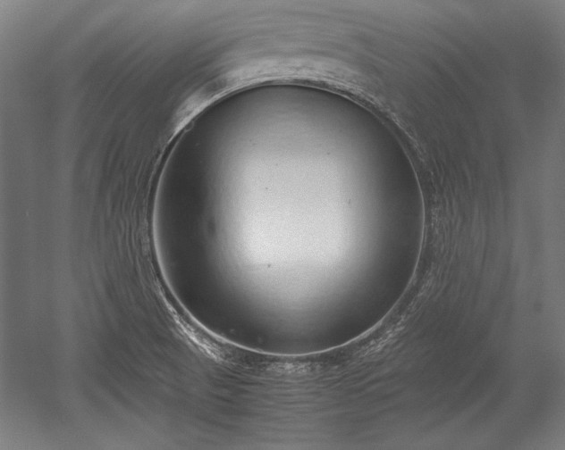 X0000052551521200507081556