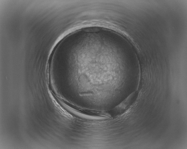 X0000052551522200507081556