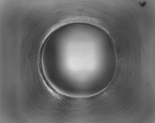 X0000052551523200507081556