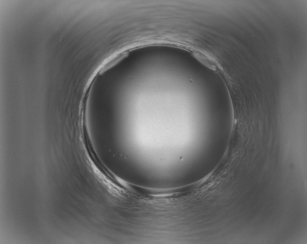 X0000052551524200507081556